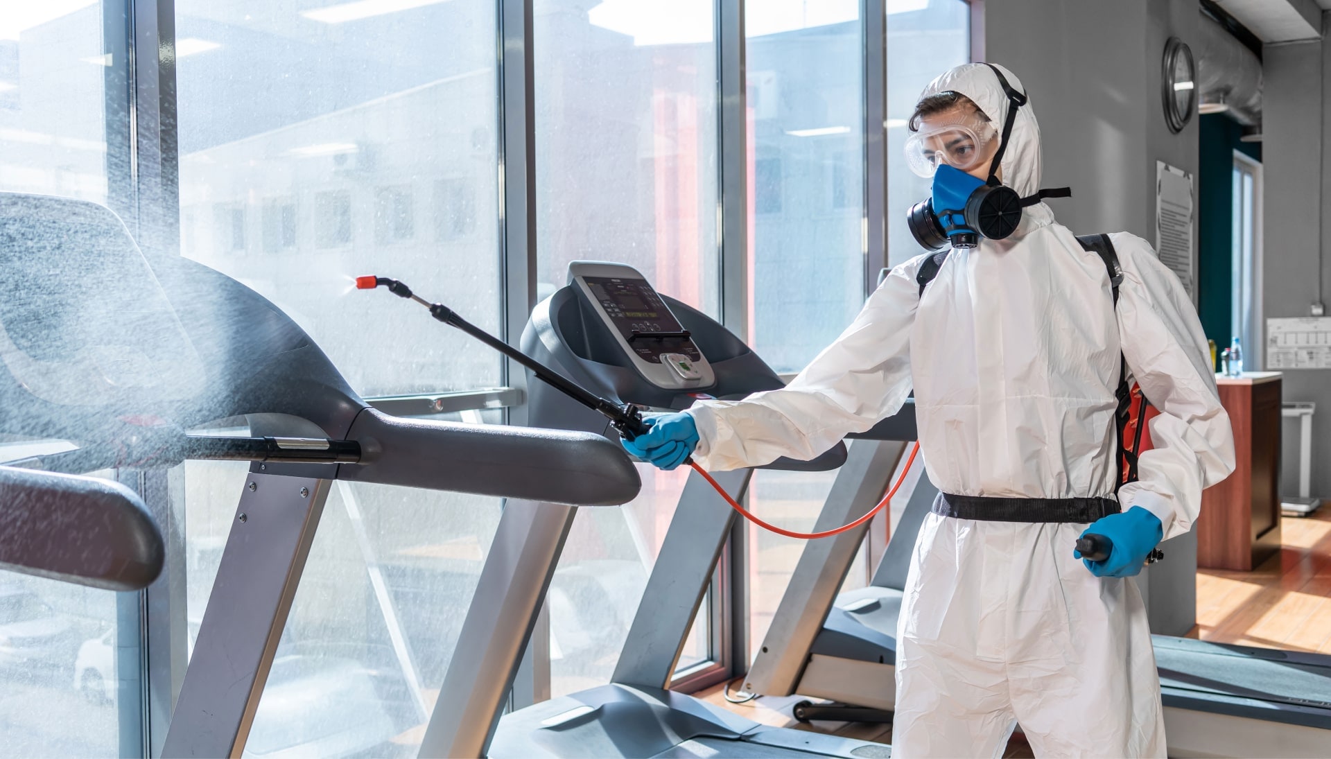Commercial Mold Removal Services in Austin