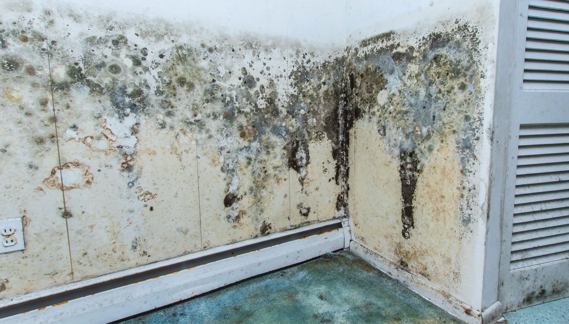 A mold remediation team using specialized techniques to remove mold damage and control odors in a Austin property, with a focus on safety and efficiency